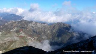nte Scuderi-23-11-2014 09-49-18